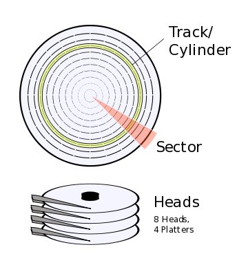 sector